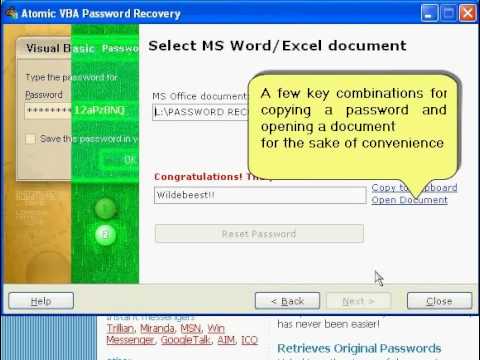 how to break vba password