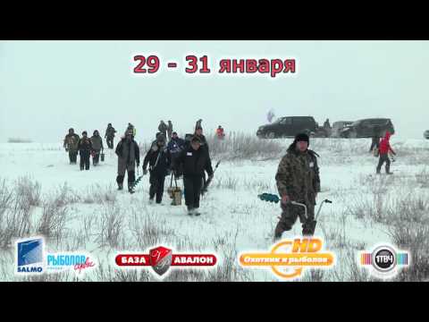 прогноз клева сташкова прогноз клева сташкова