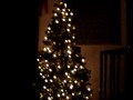 Arbol de Navidad 2009.