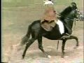 Fiestas Populares: Caballos de Paso - Per�
