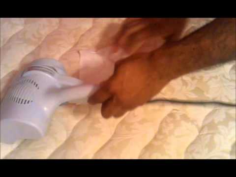 how to eliminate mites