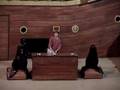 Sea Lion show 2