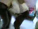 he he he he he he
