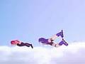 too many kite