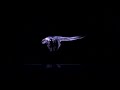 le parvis des ondes - Part 4