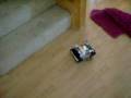 videos de Crystal Reaper Dog Chase