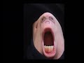 Mr chin
