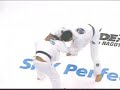 gracie jiu jitsu demostration techniques  music video