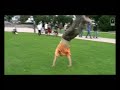 Tricken