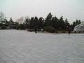 scenes from Pyongyang