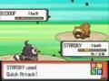 Starly Only Run: Route 202