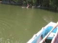 G�dd Fiske