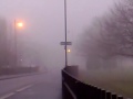 Scary Foggy Clissold Park London