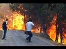 arde galiza