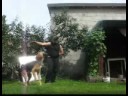 Gofer - Touch - 29.07.20007