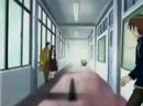 AMV Love HIna - Akcent - Kylie ;]