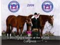 Slide Show of Congress and other AQHA Shows