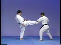 Karate kyokushin Yakusoku Kumite prearranged fighting