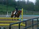 Trotting around on Tim