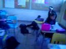 ~Bl0opeRzz~