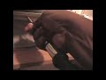 Apple iMac Ram Upgrade Part 1!!!! Apple iMac Ram Upgrade Part 1!!!!