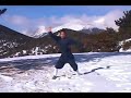 wudang internal style