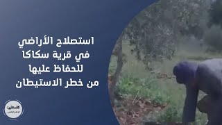 سلفيت| استصلاح الأراضي في قرية سكاكا للحفاظ عليها من خطر الاستيطان