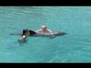 Bird @ Curacao 2008 (Deel 2)