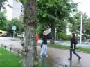 re: free hugs campaign  bergen