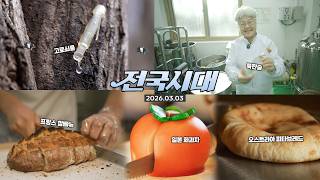 전국시대