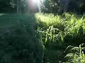 flip off fence
