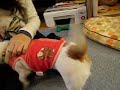じゃれあい♪