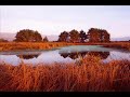 Nature Music Nature Music