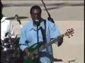 P-Bass Jonz & SubSonic Blues