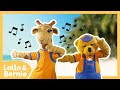 Ving - Lollo & Bernies danseskole