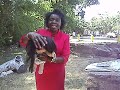 DrMercy, Indian Slaves, Black Women, & Human Organ Trafficking.AVI