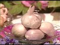 Sima-Bina-1 Sima-Bina-1