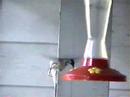 Hummingbird 2