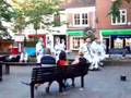Travel Photo: Morris dancers in York
