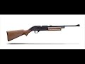 top 5 pellet guns