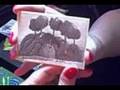 What is ACEO?