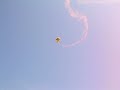 US Army Golden Knights