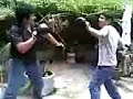elias vs  teleton gay