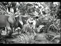National Fatherhood Initiative: 'Tarzan'