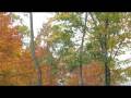 Fall Slide Show