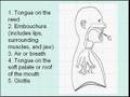 Basics of Double Reed Articulation: Part 1