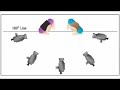 Videomaker - 180 Degree Rule