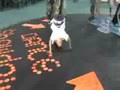 Audition-Philippines