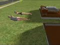 Cosas raras de los sims 2