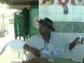 Mundo Marrom